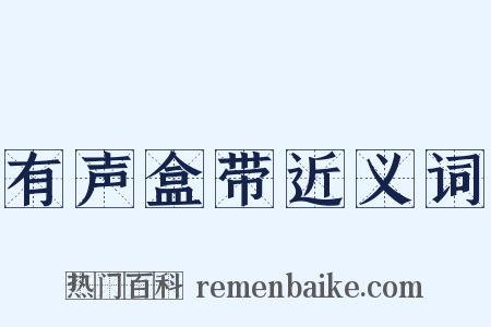 有声盒带近义词是什么意思的图片